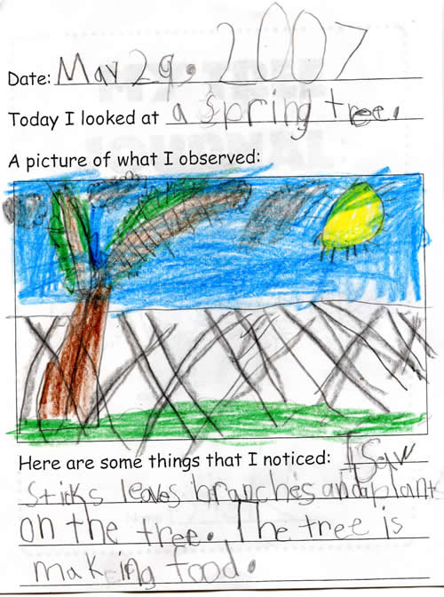 Tyler K's Spring Tree